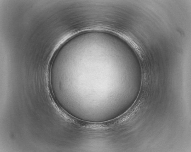 X0000115770998200912041428