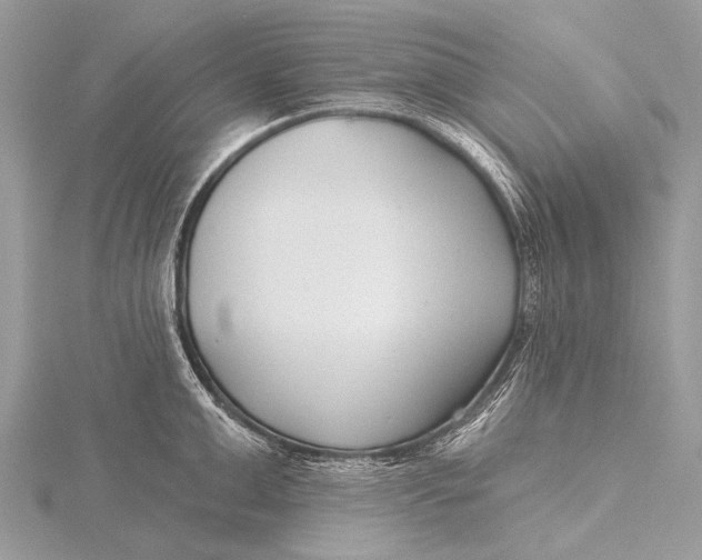 X0000115770999200912041428