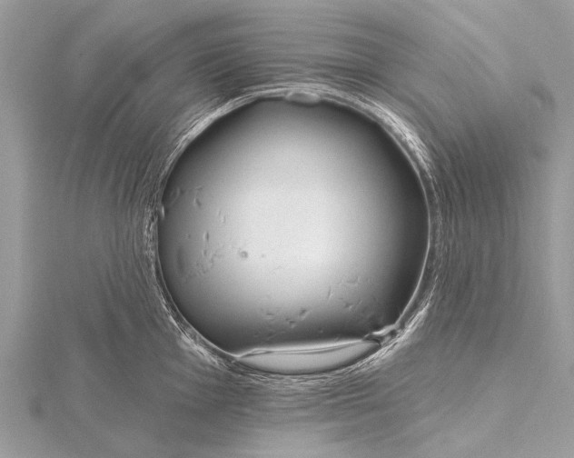 X0000115771001200912041428