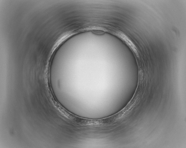 X0000115771002200912041428