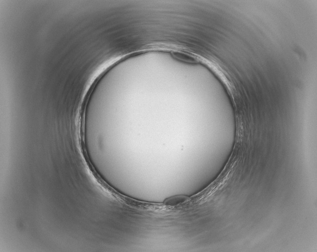 X0000115771003200912041428