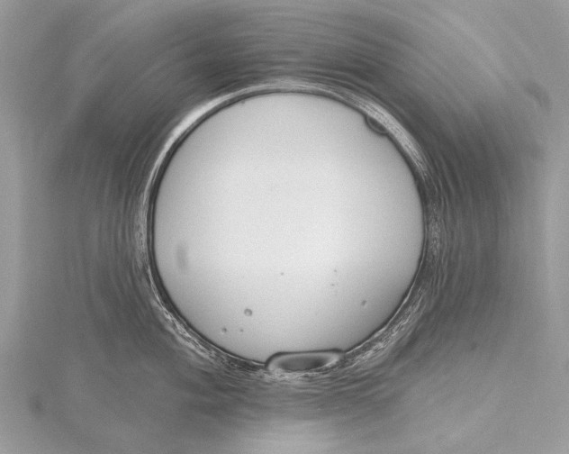 X0000115771004200912041428