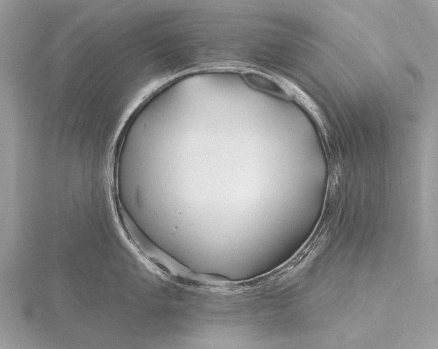 X0000115771005200912041428