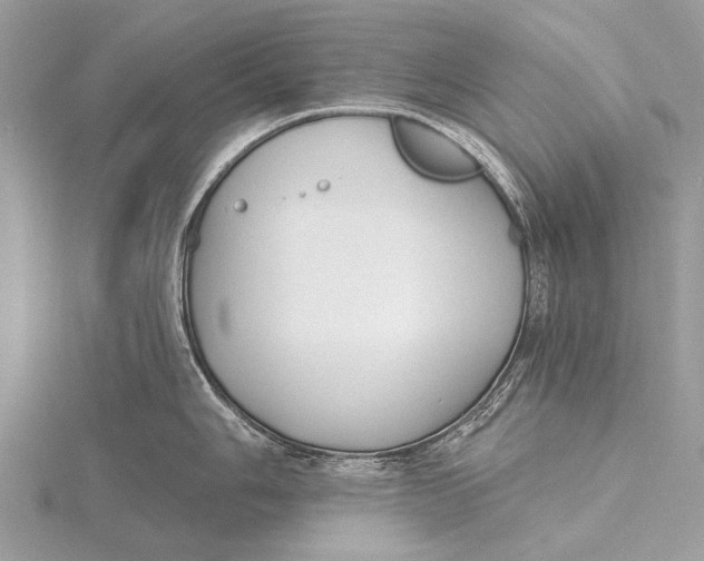 X0000115771006200912041428