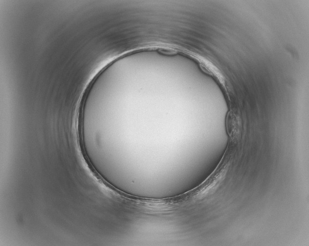 X0000115771007200912041428