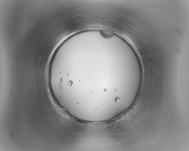 X0000115771008200912041427