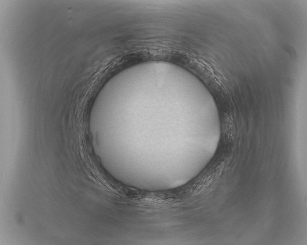 X0000115771009200912041427