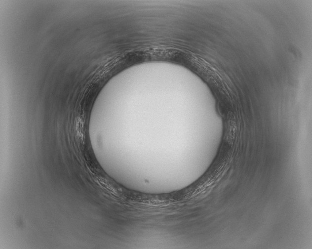 X0000115771010200912041427