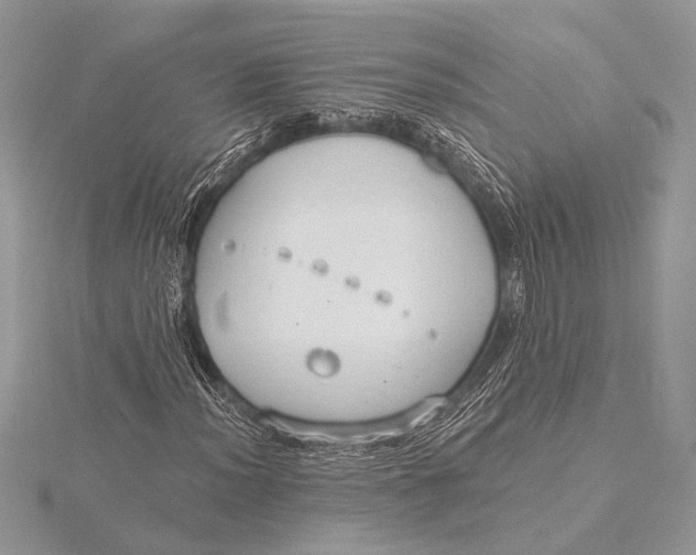 X0000115771012200912041427