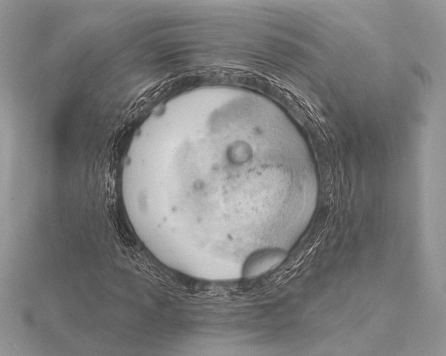 X0000115771013200912041427