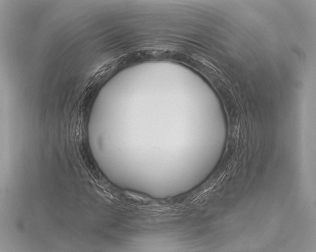 X0000115771014200912041427