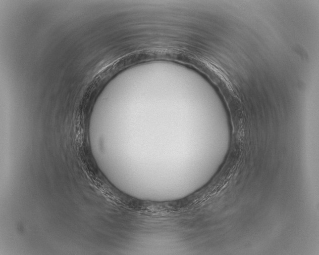 X0000115771015200912041427