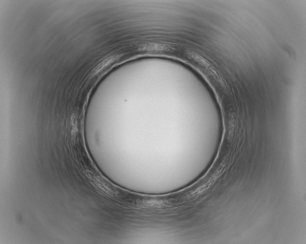 X0000115771017200912041427