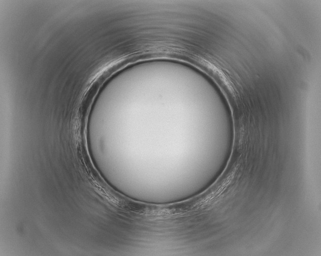 X0000115771019200912041427