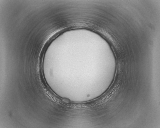 X0000115771020200912041427