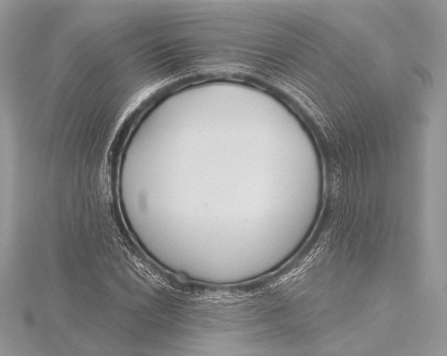 X0000115771022200912041427