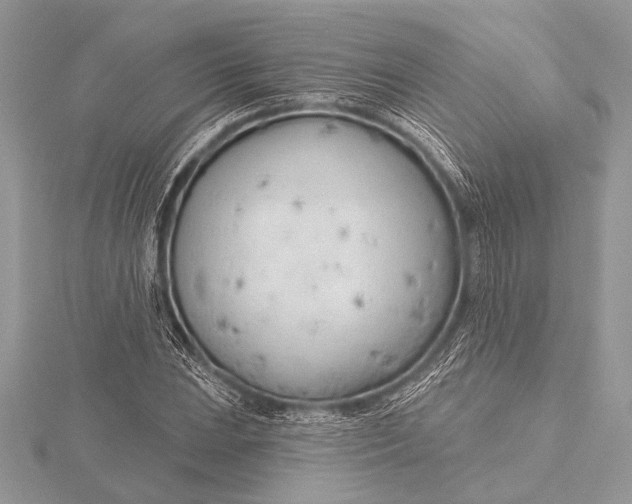 X0000115771023200912041427