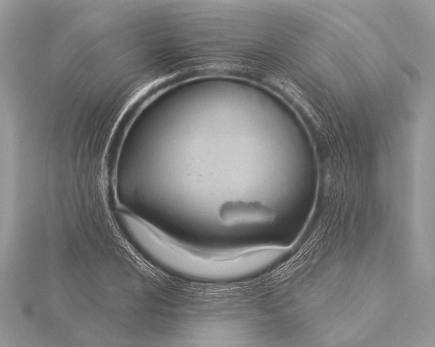 X0000115771024200912041427