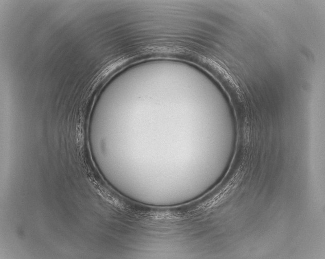 X0000115771025200912041427