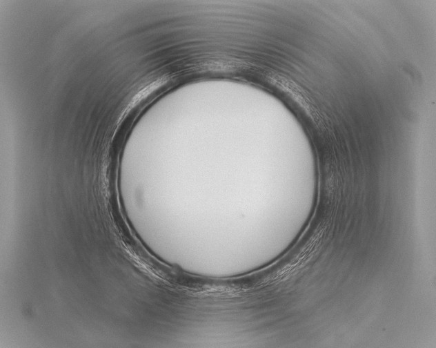 X0000115771026200912041427