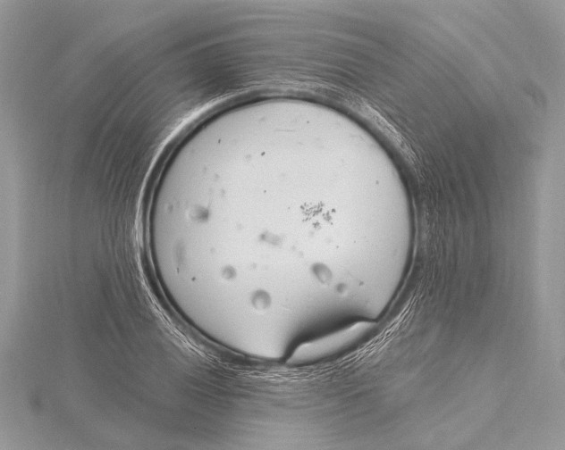 X0000115771028200912041427