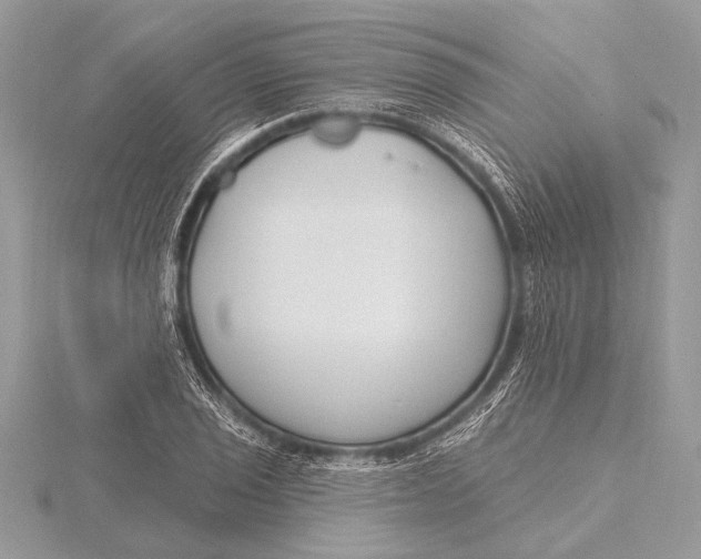 X0000115771029200912041427