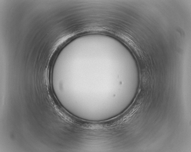 X0000115771030200912041427