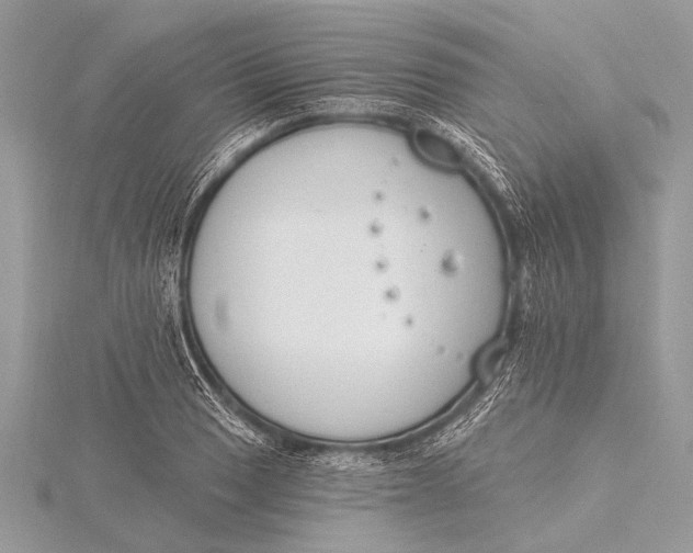 X0000115771033200912041427