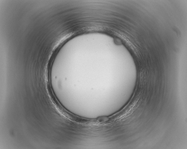 X0000115771034200912041427