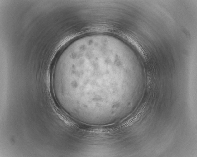 X0000115771035200912041427