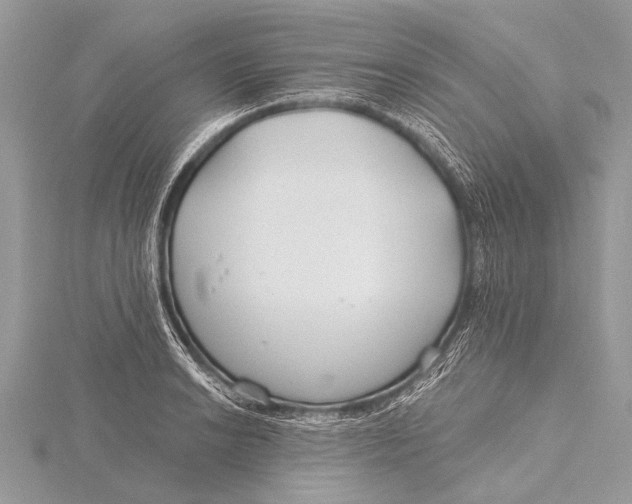 X0000115771038200912041427