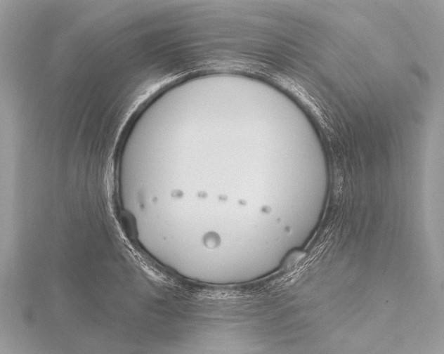 X0000115771040200912041427