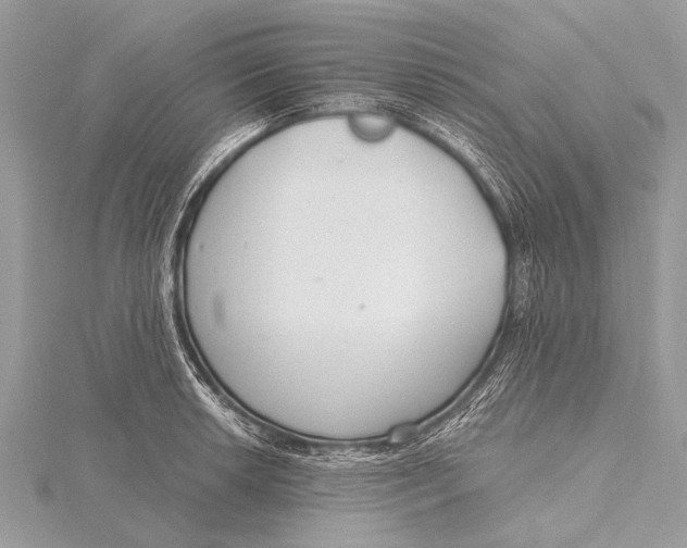 X0000115771042200912041427