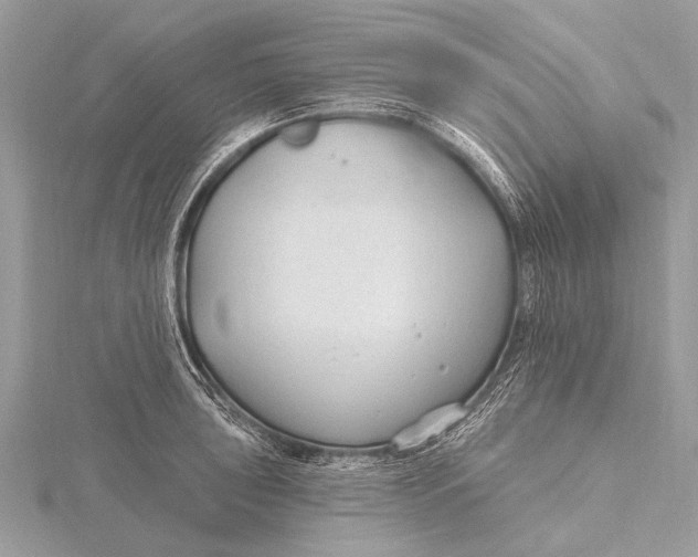 X0000115771043200912041427