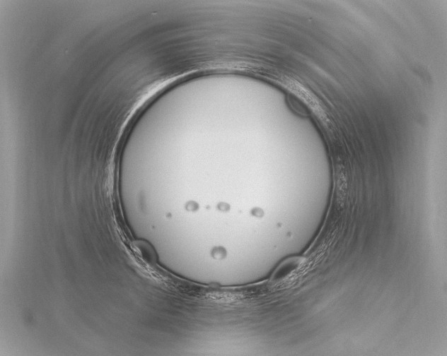 X0000115771044200912041427