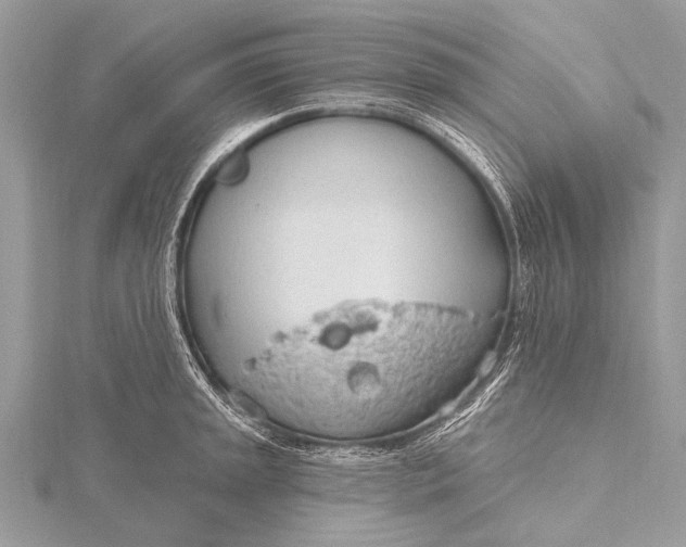 X0000115771045200912041427