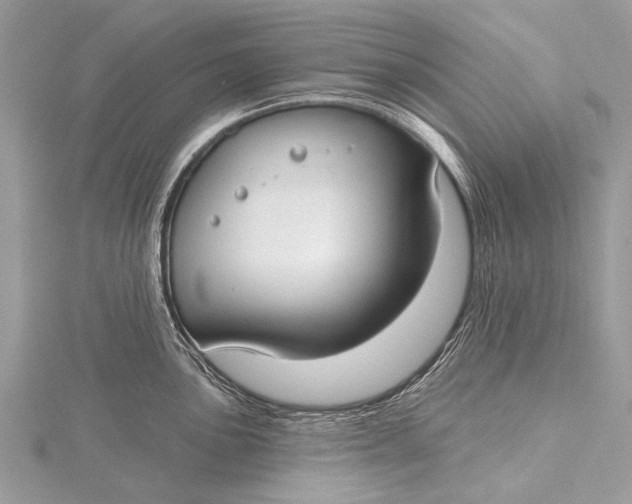 X0000115771051200912041427