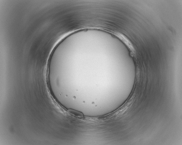 X0000115771052200912041427