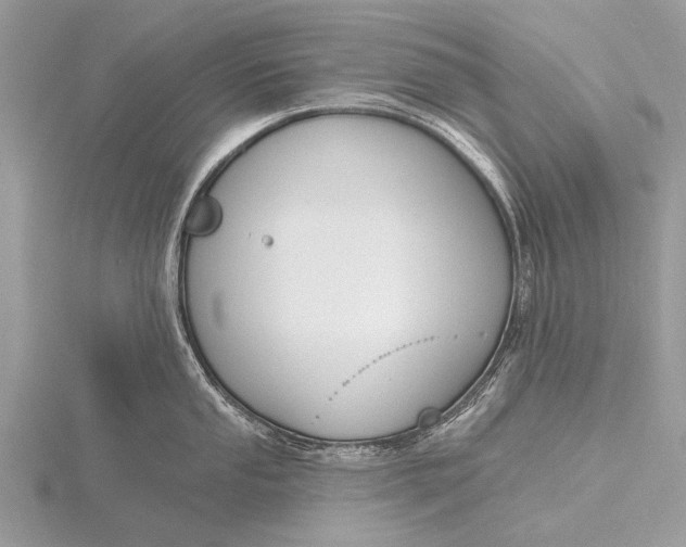 X0000115771053200912041427