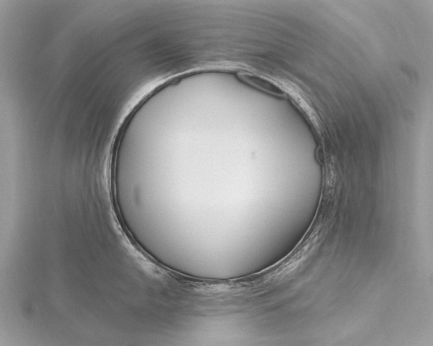 X0000115771054200912041427