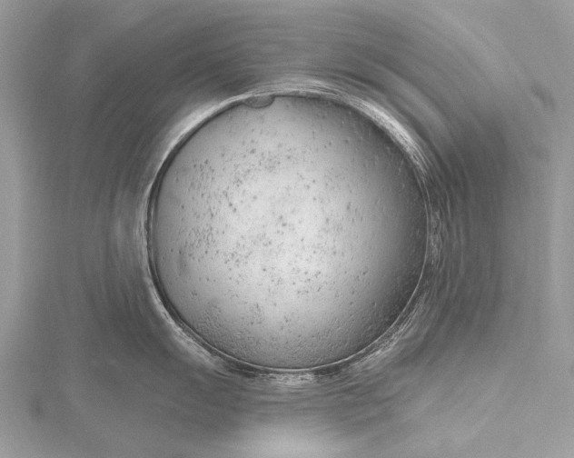 X0000115771055200912041427