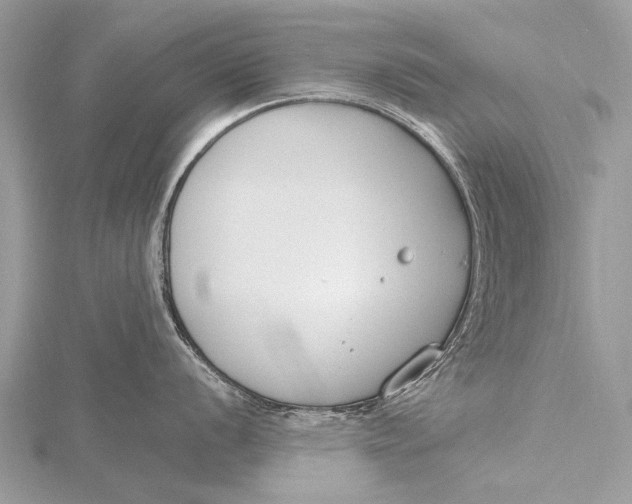 X0000115771056200912041427