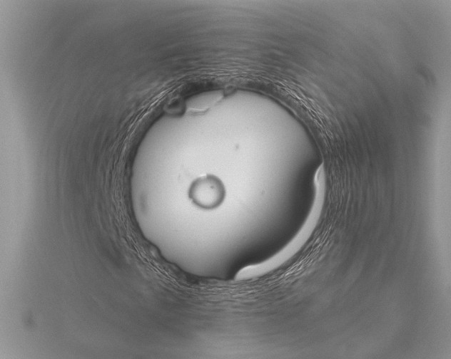 X0000115771057200912041427