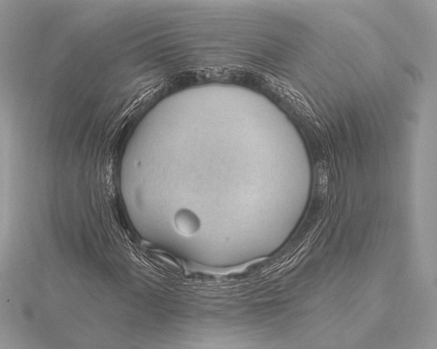 X0000115771060200912041427