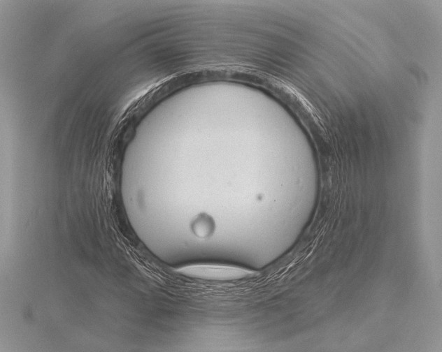 X0000115771064200912041427