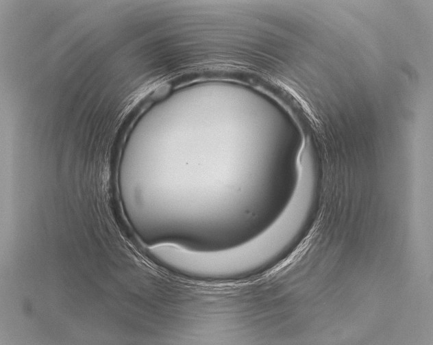 X0000115771065200912041427