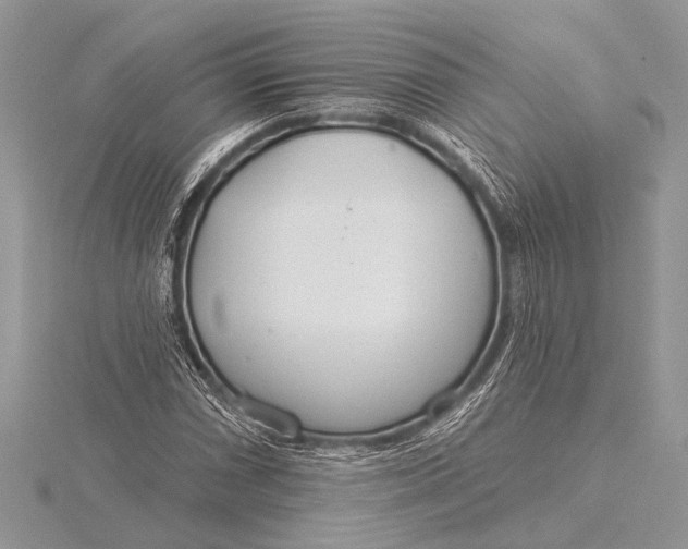 X0000115771066200912041427