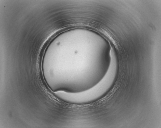 X0000115771068200912041427