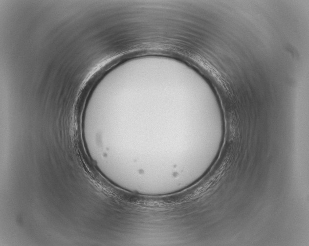 X0000115771070200912041427