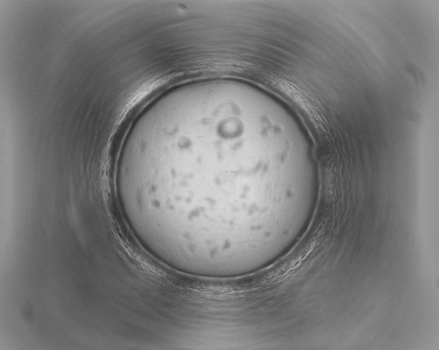 X0000115771071200912041427